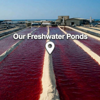 Freshwater-Sourced Astaxanthin